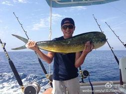 娱乐吃瓜钓鱼视频大全,全网热门娱乐吃瓜钓鱼视频大盘点